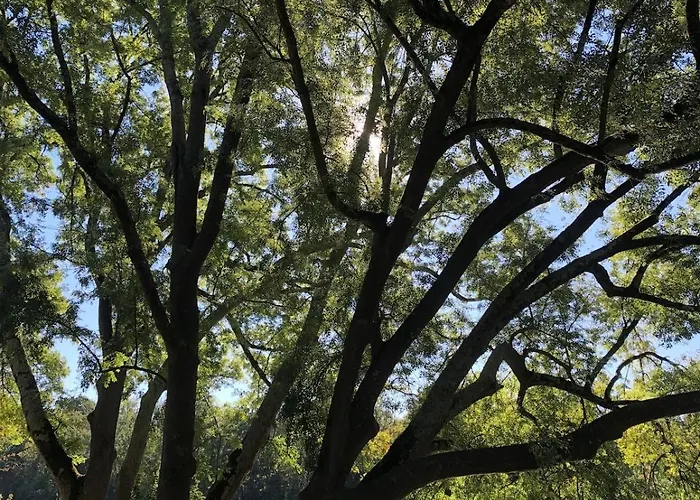 Apartment Maison Prunier